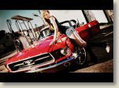 mustang-girl.jpg
