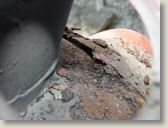 P1020405.JPG